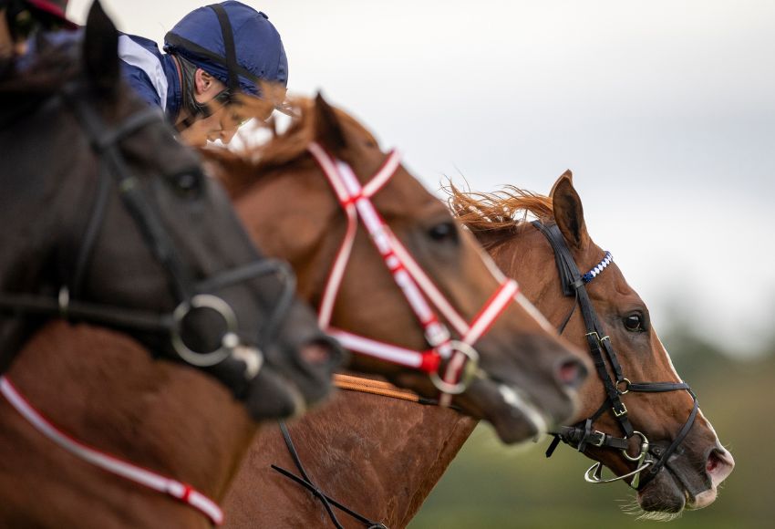 Photo: Patrick McCann/Racing Post