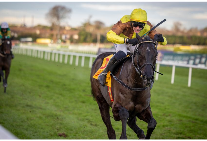 Leopardstown legend Galopin Des Champs tops an entry of 14 horses for the Grade 1 Paddy Power Irish Gold Cup on the opening day of the Dublin Racing Festival at the beginning of next month. Photo: Patrick McCann/Racing Post