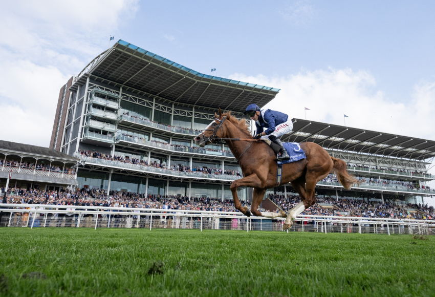 The William Haggas-trained Economics is one of four overseas contenders for the Royal Bahrain Irish Champion Stakes on the opening day of Irish Champions Festival at Leopardstown on Saturday. Photo: Ed Whitaker/Racing Post