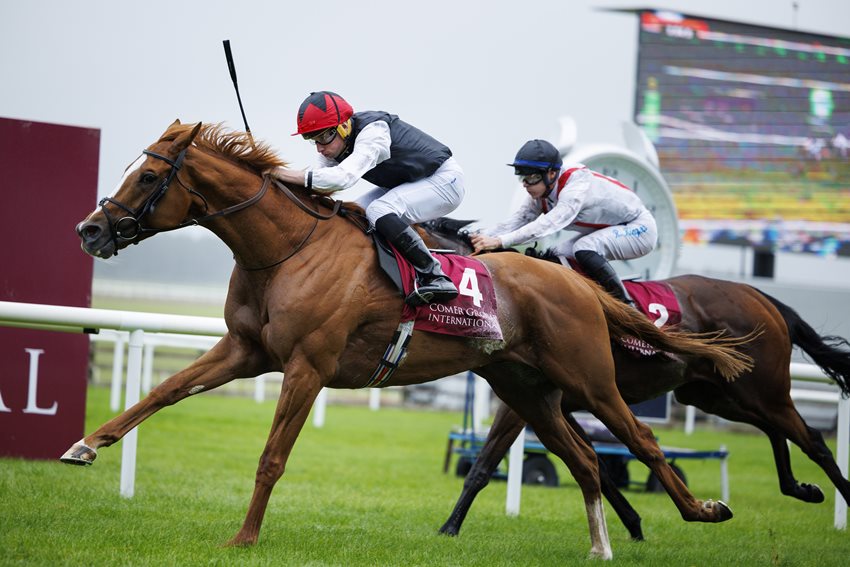 Kyprios bids for a second win in the Comer Group International Irish St Leger on day two of Irish Champions Festival at the Curragh on Sunday. Photo: Patrick McCann/Racing Post