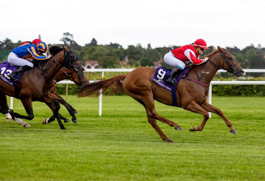 Amy Jo Hayes' effort on Redstone Well at Leopardstown in July 2023 was last year's Horse Racing Ireland Ride of the Year. There are six nominations for this year's award for which voting opened today