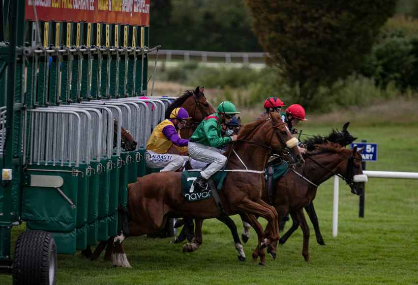 Horses bouncing out of the stalls at Navan