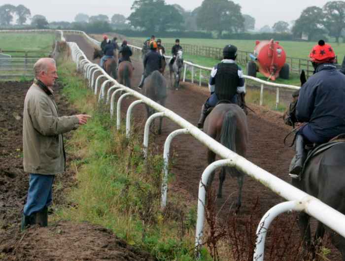 Willie Mullins closely watches horses exercise