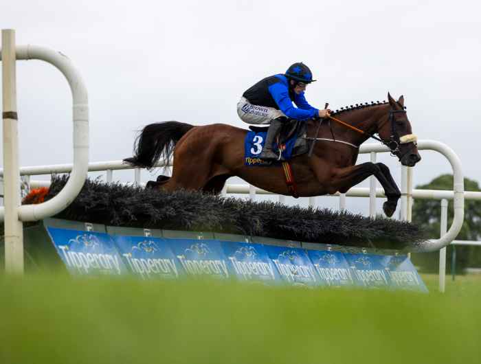 Horse jumping over hurdle at Tipperary