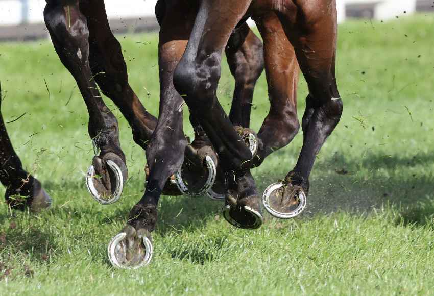 Horse hooves photographed mid race