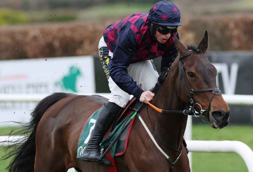 Jamie Codd and Farren Glory team up to win at Navan racecourse